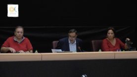 21η Tακτική συνεδρίαση του Περιφερειακού Συμβουλίου Αττικής: 29-06-17