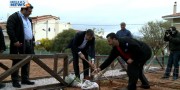 Μια ακόμα σημαντική δράση αναλαμβάνει ο Δήμος Αμαρουσίου, δημιουργώντας Δημοτικούς Λαχανόκηπους