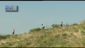 Δεύτερη Εθελοντική δράση ποτίσματος στον Κοκιναρά Πεντελικού