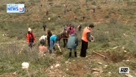 «Χρειαζόμαστε ΟΛΟΙ» – Δενδροφύτευση Πεντελικού