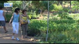 16.000 φυτά αξιοποιεί ο Δήμος Ηλιούπολης