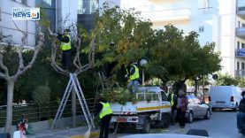 Ο Δήμος Ιλίου σχεδιάζει την ισορροπημένη ανάπτυξή του δίνοντας έμφαση στο περιβάλλον.