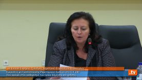 Έγκριση ή μη Τροποποίησης Ρυμοτομικού Σχεδίου στο Ο.Τ.280