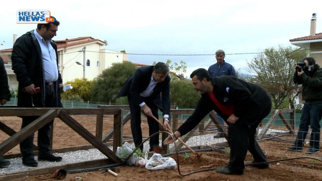 Μια ακόμα σημαντική δράση αναλαμβάνει ο Δήμος Αμαρουσίου, δημιουργώντας Δημοτικούς Λαχανόκηπους