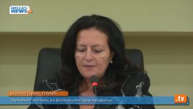 Συνεδρίαση Δημοτικού Συμβουλίου Ηλιούπολη: 20.6.12 (7ο)