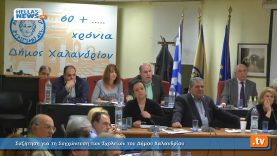 Συνεδρίαση Δημοτικού Συμβουλίου Χαλανδρίου 10.4.13 (2ο)