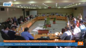 Συνεδρίαση Δημοτικού Συμβουλίου Ηλιούπολης: 04.07.13 (1ο)