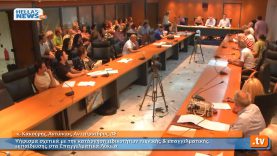 Συνεδρίαση Δημοτικού Συμβουλίου Ιλίου στις: 01.08.2013 (2ο)