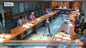 Συνεδρίαση Δημοτικού Συμβουλίου Ιλίου στις: 17.10.2013 (2ο)