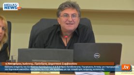 Συνεδρίαση Δημοτικού Συμβουλίου Ηλιούπολης: 21.11.13 (3ο)