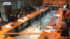 Ειδική Συνεδρίαση Δημοτικού Συμβούλιου Ιλίου: 7.11.2013