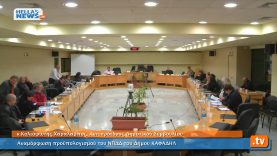 Συνεδρίαση Δημοτικού Συμβουλίου Ηλιούπολης: 12.12.13 (2ο)