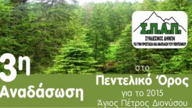3η Εθελοντική αναδάσωση για το 2015 από τον Σ.Π.Α.Π. στο Πεντελικό όρος
