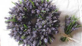 2η Ανοιξιάτικη Ανθοκομική Έκθεση, στην Πλατεία Κοτζιά στο Δήμο Αθηναίων