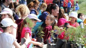 Εθελοντικές δράσεις καθαρισμού και εξωραϊσμού στην Άνω Γλυφάδα, στους πρόποδες του Υμηττού