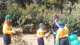 Επιτυχής η εθελοντική δράση στο Πάρκο Ναυαρίνου του Δήμου Ηλιούπολης