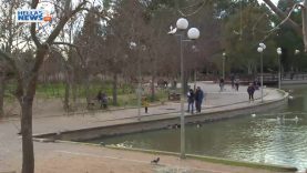 Πρωτοβουλία ανάληψης διαχείρισης του Πάρκου Τρίτση από το Δήμο Ιλίου