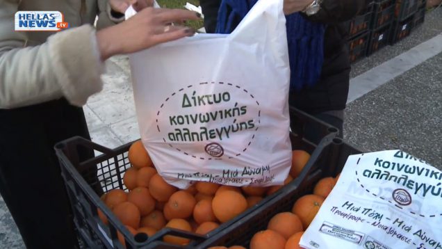 Δωρεάν διανομή πορτοκαλιών από το Δήμο Παλλήνης