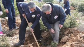 Με επιτυχία και σημαντική προσέλευση εθελοντών ολοκληρώθηκε η 1η Αναδάσωση του Σ.Π.Α.Π για το 2016 στο Πεντελικό