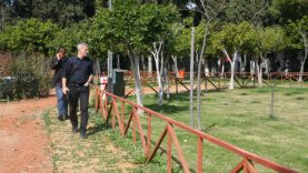 Δήμος Πειραιά: Εκτεταμένες αναπλάσεις πρασίνου και δράσεις για την προστασία του Περιβάλλοντος