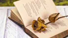 Στιχουργήματα μαθητών και παρουσίαση βιβλίου από το 2ο Λύκειο Χαλανδρίου