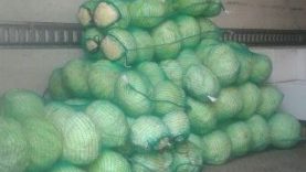 Διανομή τροφίμων από το Δήμο Βριλησσίων