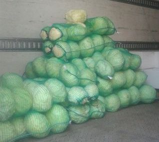 Διανομή τροφίμων από το Δήμο Βριλησσίων