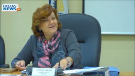 40η Συνεδρίαση του Δημοτικού Συμβουλίου Ελευσίνας: 29.12.2017