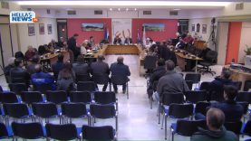 2η  Συνεδρίαση του Δημοτικού Συμβουλίου Δήμου Ελευσίνας 29.01.20