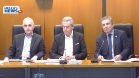Ειδικη Συνεδρίαση Δημοτικού Συμβουλίου του Δήμου Ιλίου 30.01.20