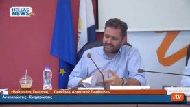 17η  Συνεδρίαση του Δημοτικού Συμβουλίου Δήμου Ελευσίνας 29.07.20
