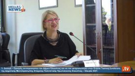 16η  Συνεδρίαση του Δημοτικού Συμβουλίου Δήμου Ελευσίνας 15.07.20