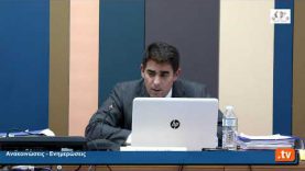 17η Τακτική Συνεδρίαση του Δημοτικού Συμβουλίου του Δήμου Παπάγου   Χολαργού. 10.11.2021