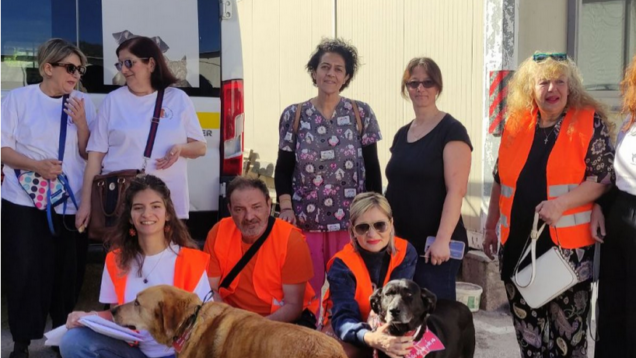 ΠΑΓΚΟΣΜΙΑ ΗΜΕΡΑ ΑΔΕΣΠΟΤΩΝ ΖΩΩΝ: ΓΙΑ ΠΡΩΤΗ ΦΟΡΑ  ΣΤΗΝ ΕΛΕΥΣΙΝΑ ΜΙΑ ΙΔΙΑΙΤΕΡΗ ΔΡΑΣΗ