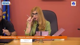 14η Συνεδρίαση του Δ. Σ. του Δήμου Ελευσίνας την ΤΕ 17-04-24