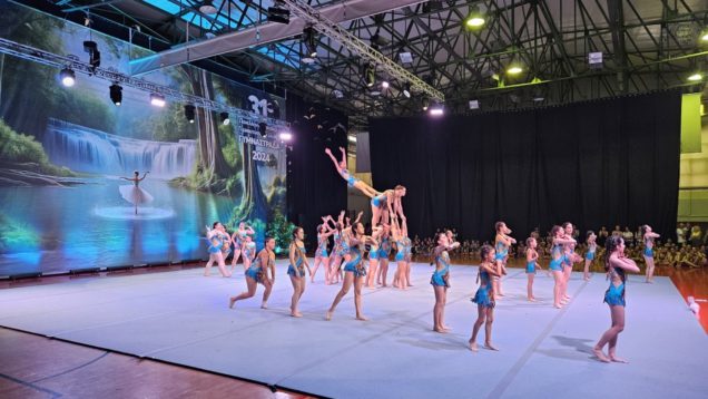 31ο Φεστιβάλ Γυμναστικής (35)