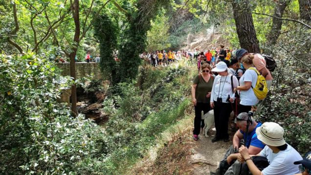 cccda93b-5f72-4b9c-b91b-902143bb3666