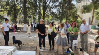 Ημέρα υιοθεσία αδέσποτων 2024-05 (5)