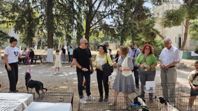Ημέρα υιοθεσία αδέσποτων 2024-05 (5)