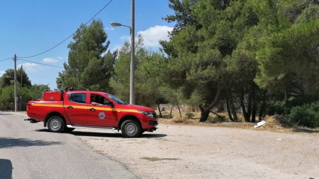 politiki-prostasia-maroussi-dasos-1024×583