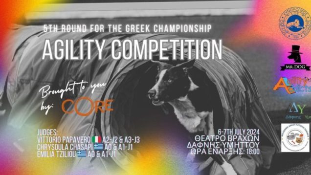 Dog_agility_July_2024-800×445