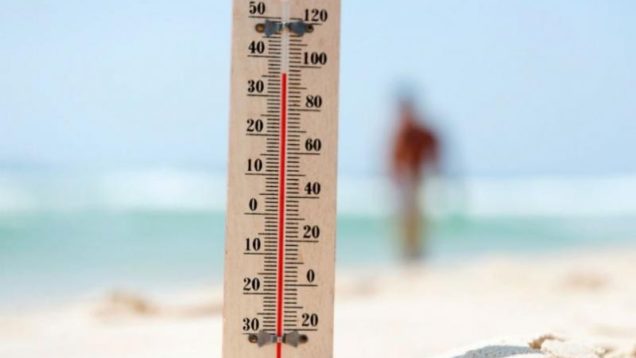 kausonas_foto_site.1024×0