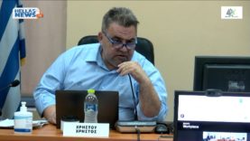 3η ΕΙΔΙΚΗ ΛΟΓΟΔΟΣΙΑΣ ΤΟΥ Δ.Σ. του Δήμου ΔΑΦΝΗΣ ΥΜΗΤΤΟΥ την ΠΕ. 27-6-24 και ώρα 2030