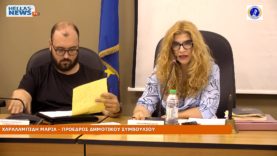 31η Συνεδρίαση του Δ.Σ. του Δήμου Ελευσίνας την TΡ. 23-07-24 και ώρα 20:30