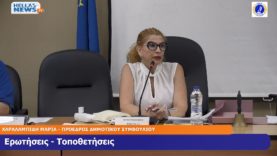 32η Συνεδρίαση του Δ.Σ. του Δήμου Ελευσίνας την TΕ. 31-07-24 και ώρα 19:00