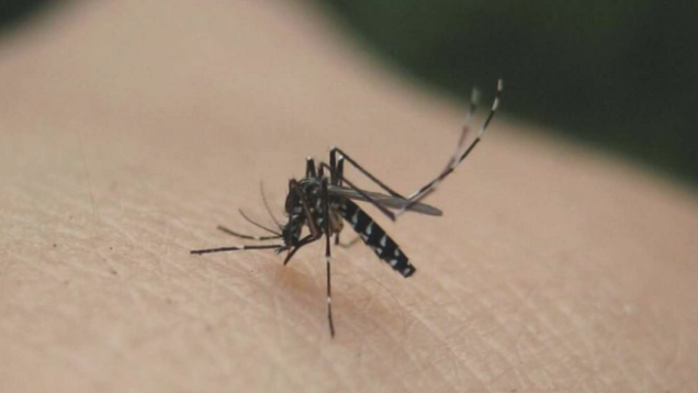 Screenshot-2024-09-10-at-16-04-14-Την-Τετάρτη-11-Σεπτεμβρίου-η-16η-εφαρμογή-ψεκασμών-για-τα-κουνούπια-ΔΗΜΟΣ-ΑΧΑΡΝΩΝ