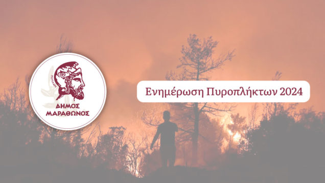 enimerosi-pyroplikton