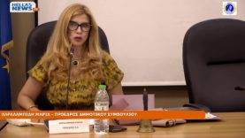 42η Συνεδρίαση του Δ.Σ. του Δήμου Ελευσίνας την TE. 9-10-24 και ώρα 19:00