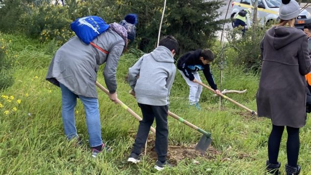 fff6c5f22c71e9ff874c73b1adaec5b8_XL