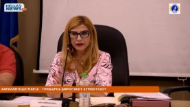 45η Συνεδρίαση του Δ.Σ. του Δήμου Ελευσίνας την TE. 30-10-24 και ώρα 19:00